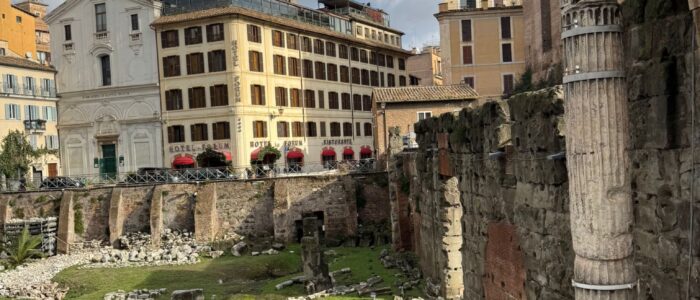 08a64752-0aba-4f6b-a12a-0446d1ecddb8