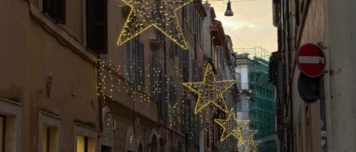 557f6e31-f963-4077-b713-a5bce5d9f0ea