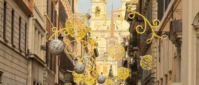 ccb83334-cd34-4a81-b15d-0a1d4e59d502